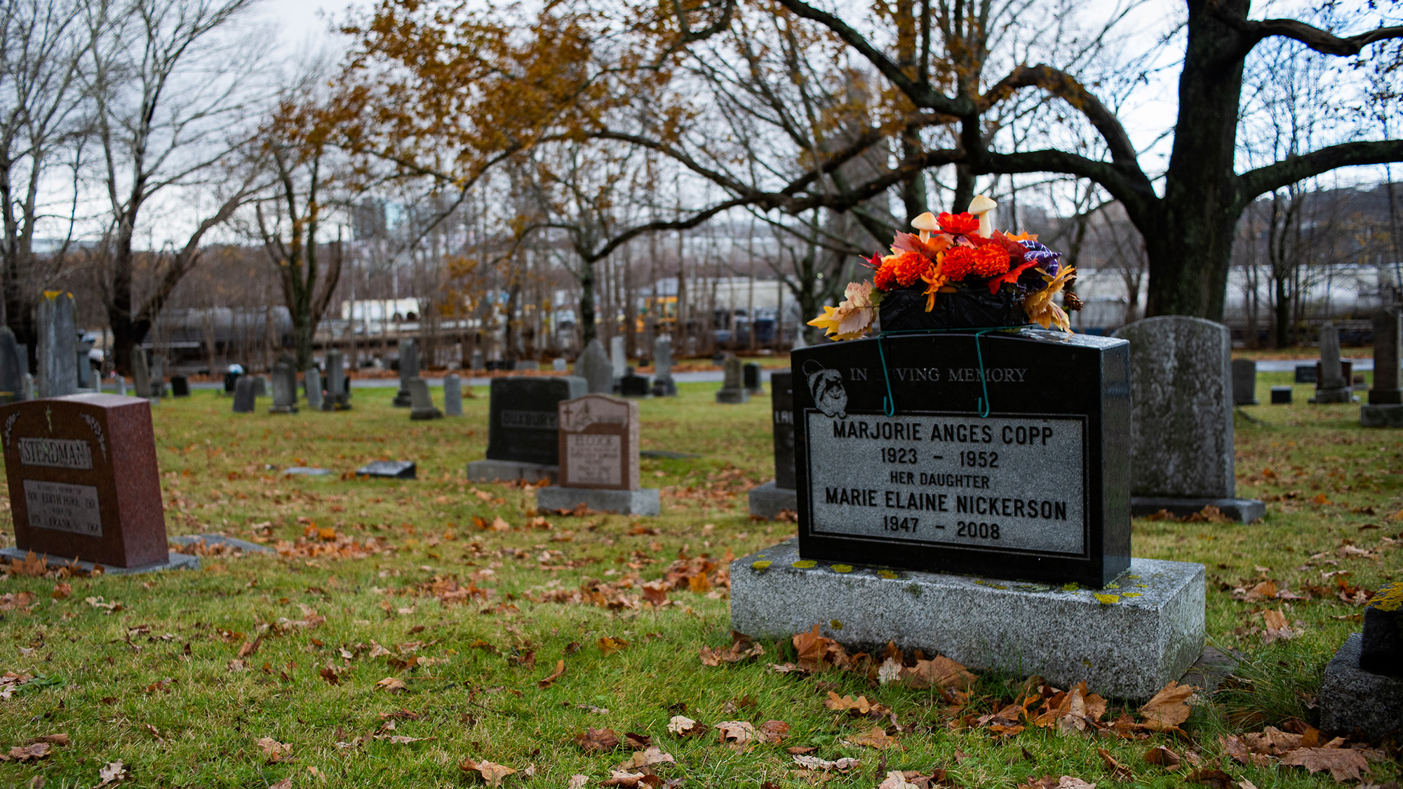 Green burials: old methods a new option for funerals