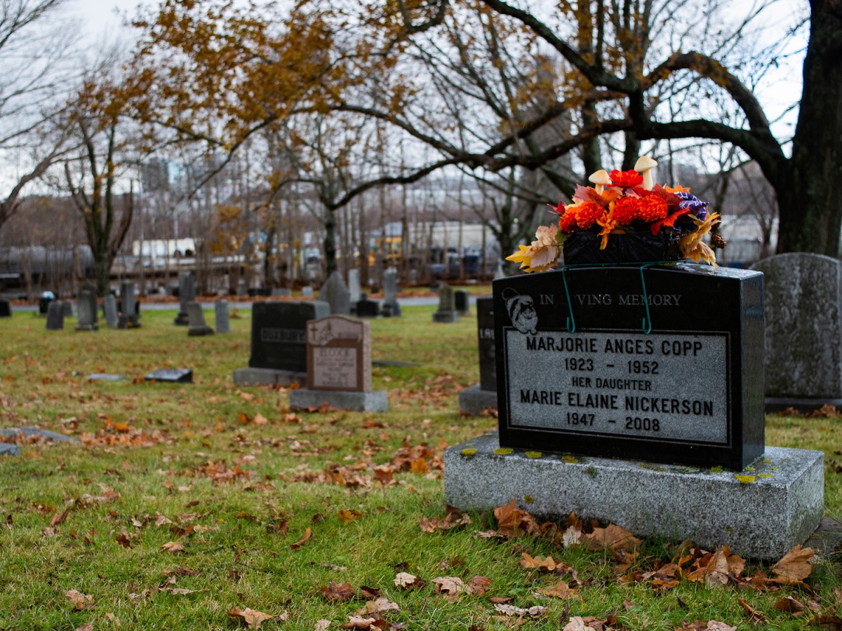 Green burials: old methods a new option for&nbsp;funerals